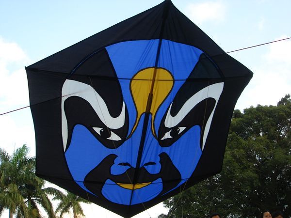 六角風箏 臉譜風箏 高空攝影 釣魚放餌 活動廣告 專屬貼圖 惠元特技風箏